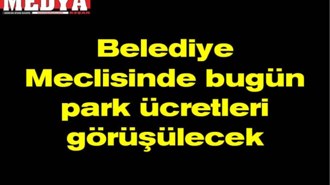 Belediye Meclisinde bugün park ücretleri görüşülecek