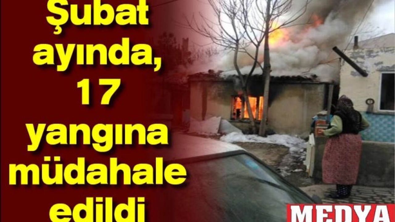 Şubat ayında, 17 yangına müdahale edildi