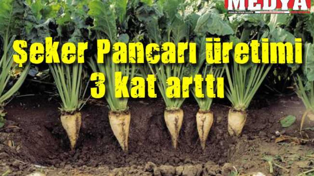 Şeker Pancarı üretimi 3 kat arttı