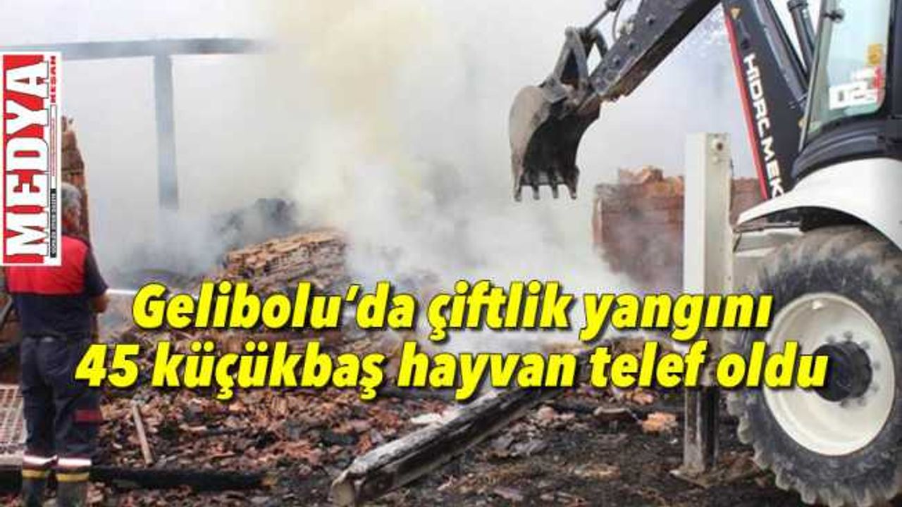 Gelibolu'da çiftlik yangını  45 küçükbaş hayvan telef oldu