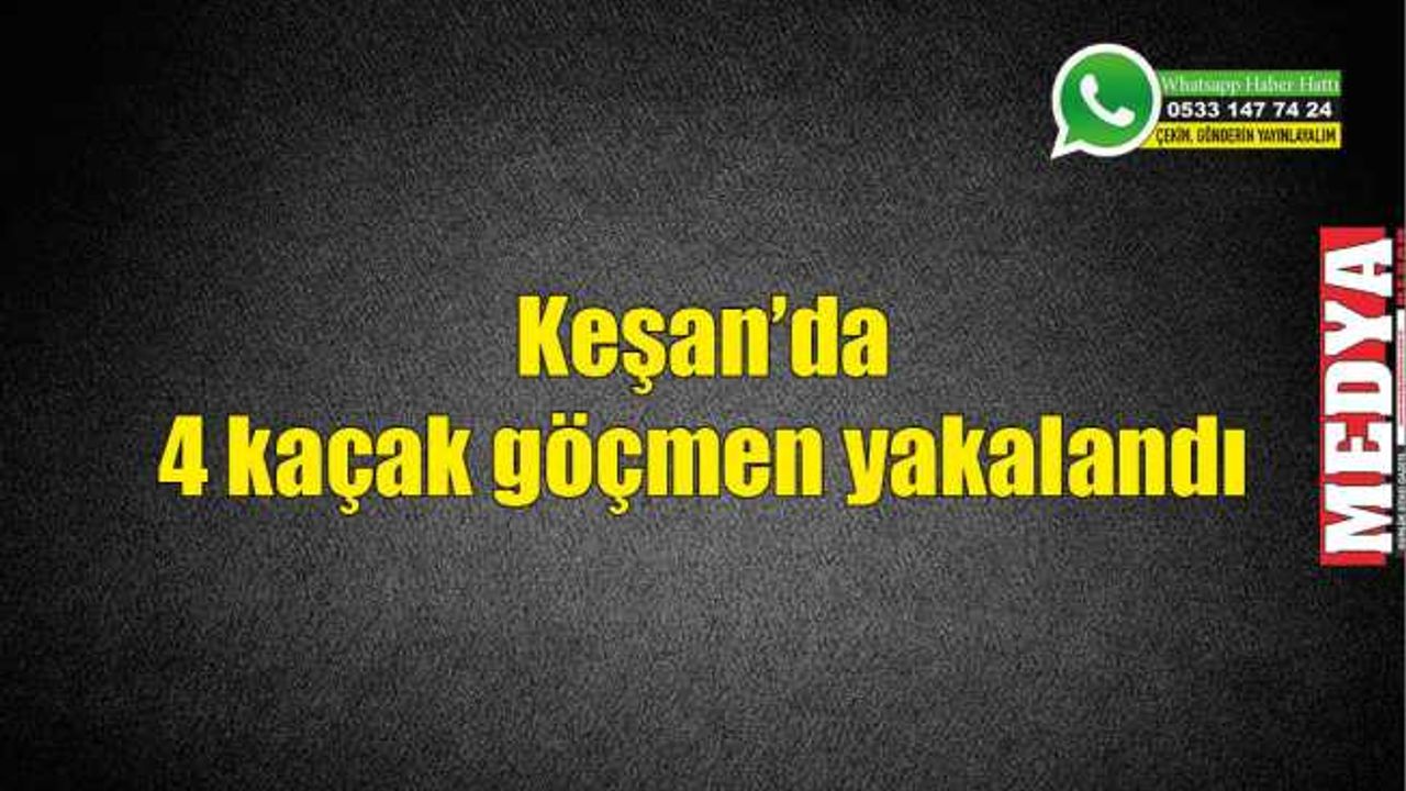 Keşan'da 4 kaçak göçmen yakalandı