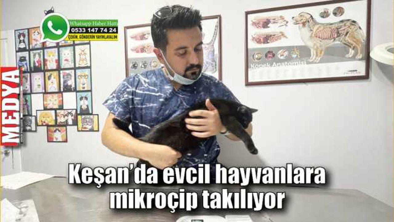 Keşan’da evcil hayvanlara mikroçip takılıyor