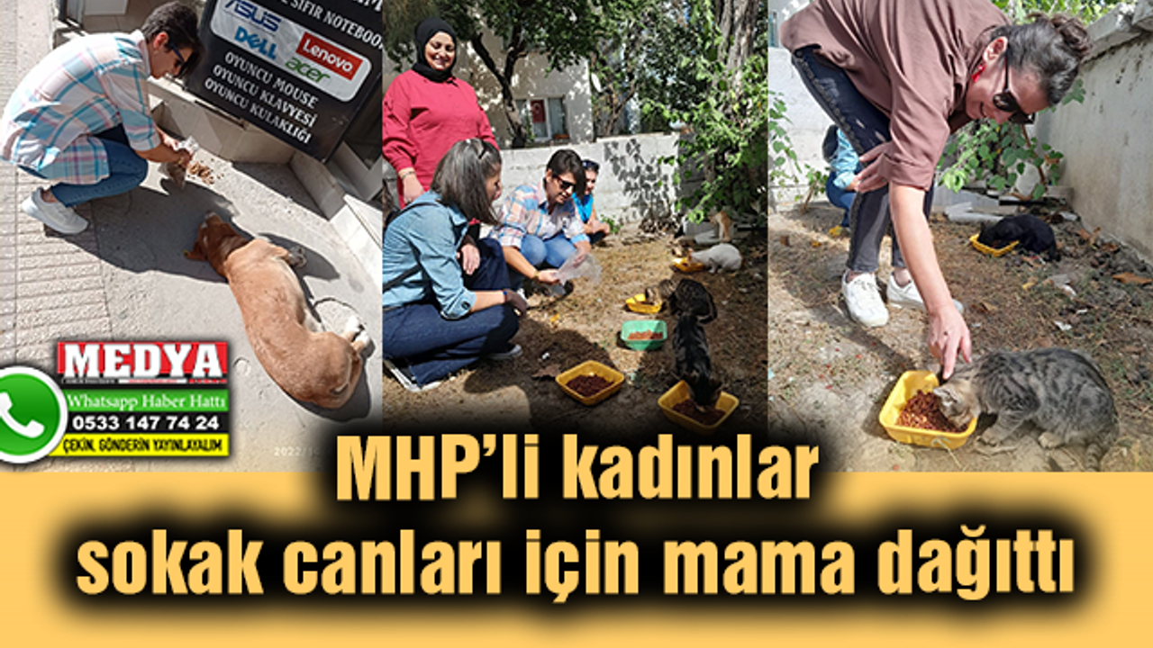 MHP’li kadınlar sokak canları için mama dağıttı