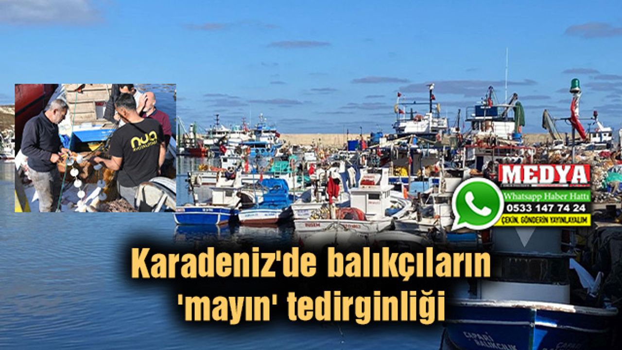 Karadeniz'de balıkçıların 'mayın' tedirginliği