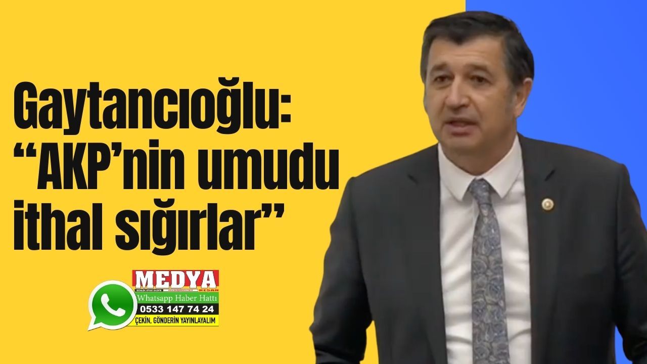 Gaytancıoğlu: “AKP’nin umudu ithal sığırlar”