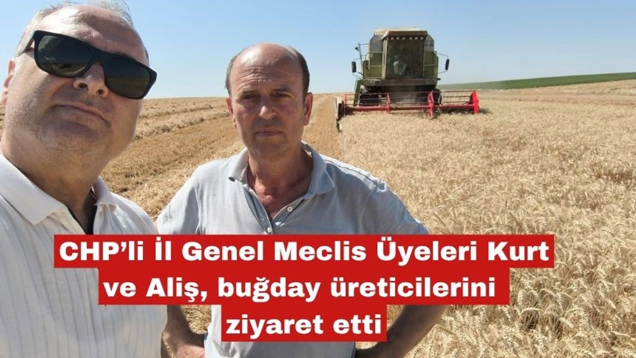 Kurt ve Aliş, buğday üreticilerini ziyaret etti