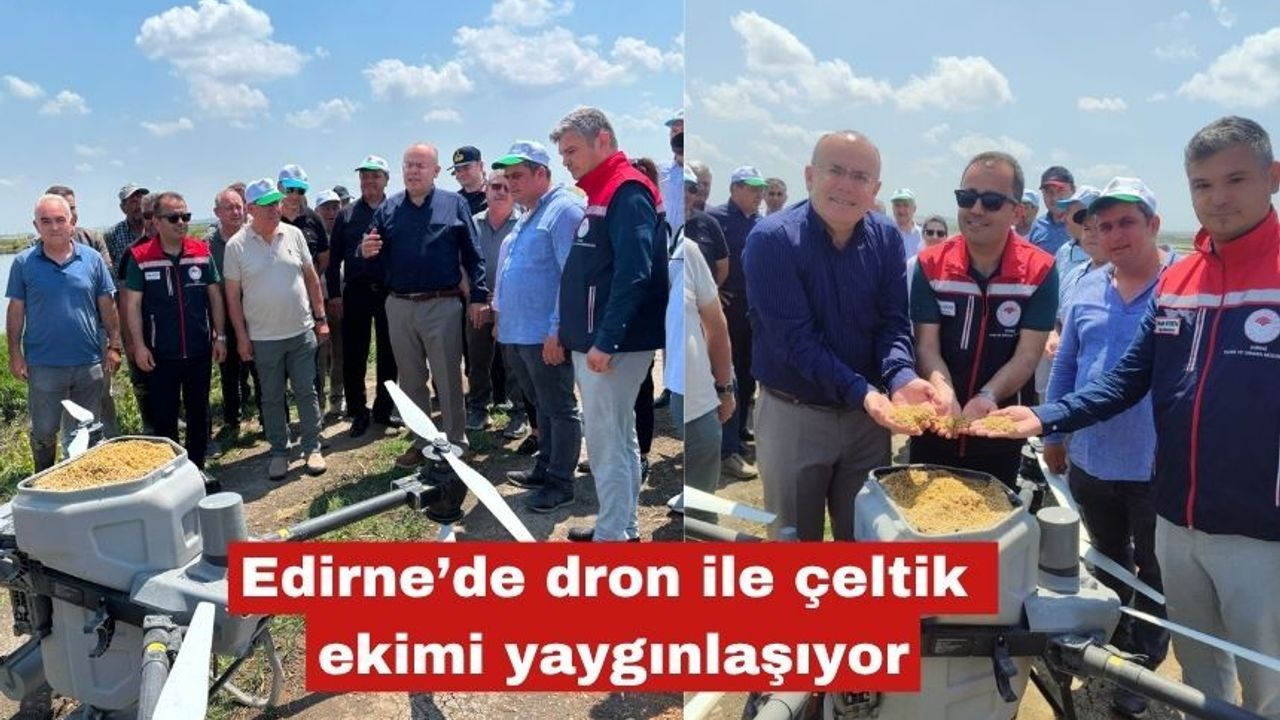 Edirne’de dron ile çeltik ekimi yaygınlaşıyor