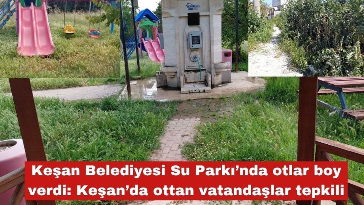 Keşan Belediyesi Su Parkı’nda otlar boy verdi