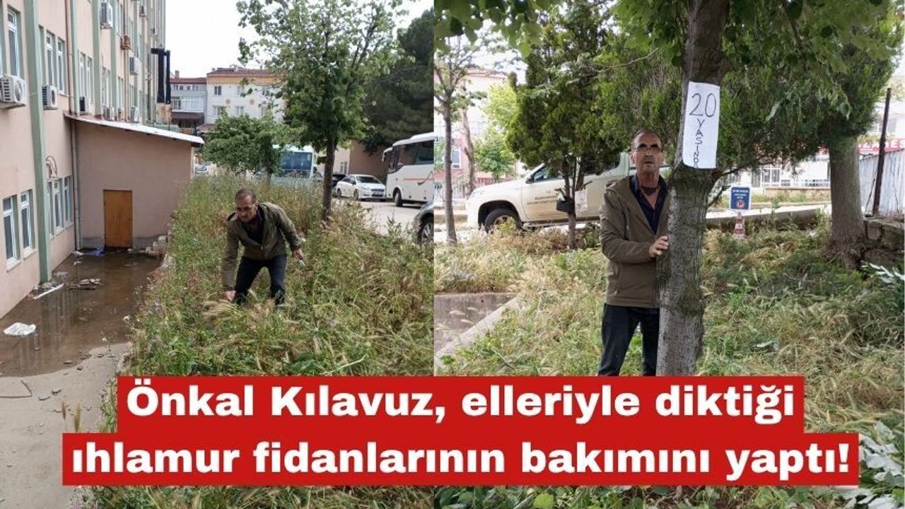"Elleriyle diktiği ıhlamur fidanlarının bakımını y