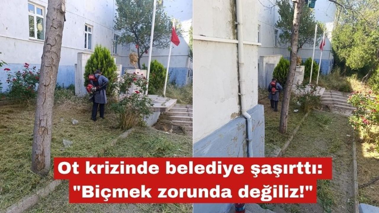 "Ot" krizinde belediye şaşırttı: "Biçmek zorunda değiliz!"