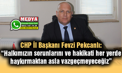 Pekcanlı'dan TBMM’de kabul edilen yeni basın yasasına tepki