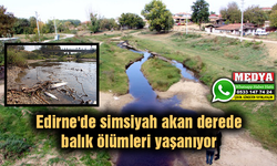 Edirne'de simsiyah akan derede balık ölümleri yaşanıyor