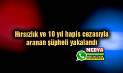 Hırsızlık ve 10 yıl hapis cezasıyla aranan şüpheli yakalandı