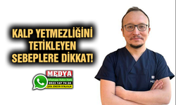 KALP YETMEZLİĞİNİ TETİKLEYEN SEBEPLERE DİKKAT!
