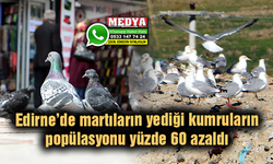 Martıların yediği kumruların popülasyonu yüzde 60 azaldı