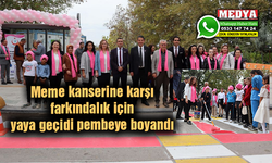 Meme kanserine karşı farkındalık için yaya geçidi pembeye boyandı