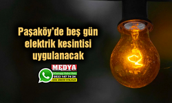 Paşaköy’de beş gün elektrik kesintisi uygulanacak