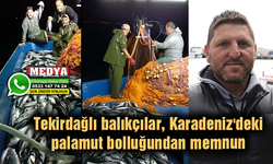 Balıkçılar, Karadeniz'deki palamut bolluğundan memnun