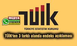TÜİK'ten 3 farklı alanda endeks açıklaması