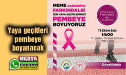 Yaya geçitleri pembeye boyanacak