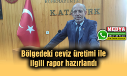 Bölgedeki ceviz üretimi ile ilgili rapor hazırlandı