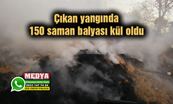 Çıkan yangında 150 saman balyası kül oldu