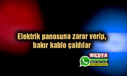 Elektrik panosuna zarar verip, bakır kablo çaldılar