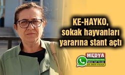 KE-HAYKO, sokak hayvanları yararına stant açtı