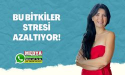 Budak: Bu Bitkiler Stresi Azaltıyor!