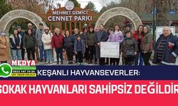Keşanlı hayvanseverler: Sokak hayvanları sahipsiz değildir