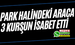 Park halindeki araca 3 kurşun isabet etti