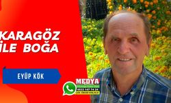 KARAGÖZ İLE  BOĞA