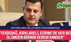 “Tekirdağ, Kırklareli, Edirne'de her beş ölümden birinin sebebi kanser”