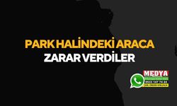 Park halindeki araca zarar verdiler