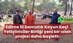 Edirne İli Damızlık Koyun Keçi Yetiştiriciler Birliği yeni bir ıslah projesi daha başlattı