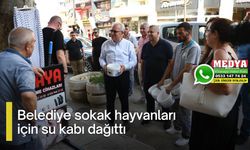 Belediye sokak hayvanları için su kabı dağıttı