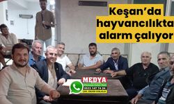 Keşan’da hayvancılıkta alarm çalıyor