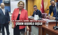 Çiğdem Gegeoğlu İl Genel Meclisi Başkanı oldu