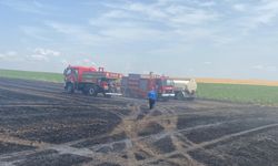 Boztepe Köyü’nde buğday yangını