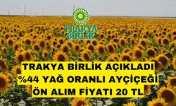 Trakya Birlik ayçiçeği ön alım fiyatlarını açıkladı