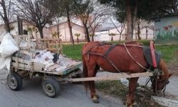 Keşan'da at arabası çalındı