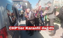 CHP 8 Mart Dünya Kadınlar Günü nedeniyle karanfil ve martaniçka dağıttı