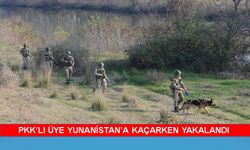 Yunanistan’a kaçmaya çalışan PKK şüphelisi yakalandı