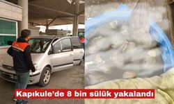 Kapıkule'de kaçak 8 bin adet sülük ele geçirildi