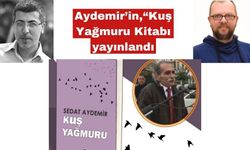 Sedat Aydemir’in Kuş Yağmuru kitabı yayınladı