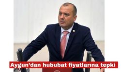 CHP Tekirdağ Vekili Aygun’dan hububat fiyatlarına tepki