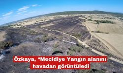 Yanan tarlalar ve ormanlık alan havadan görüntülendi