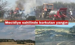 Mecidiye sahili yakınlarındaki yangın kontrol altına alındı