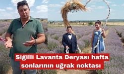 Siğilli Lavanta Deryası hafta sonlarının uğrak noktası