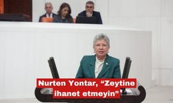 Nurten Yontar, “Zeytine ihanet etmeyin”